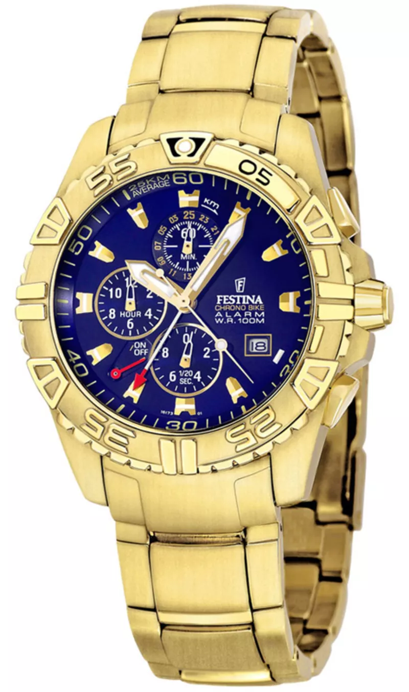 Часы Festina F16173/1