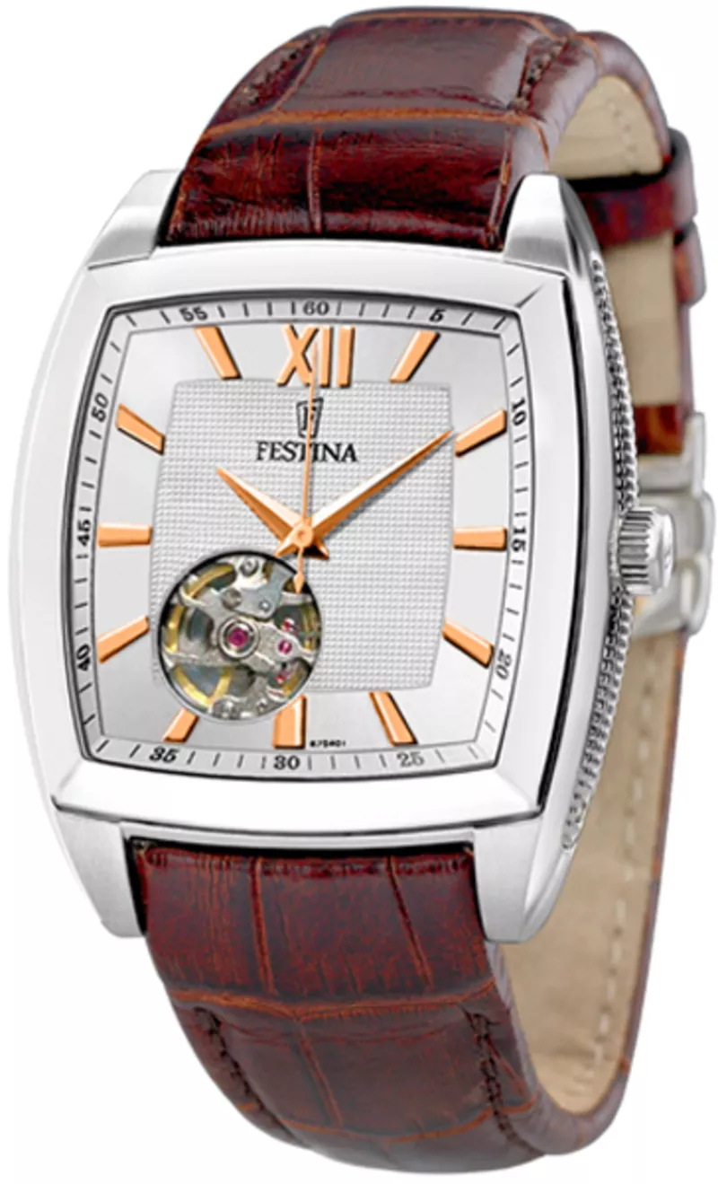 Часы Festina F6753/4