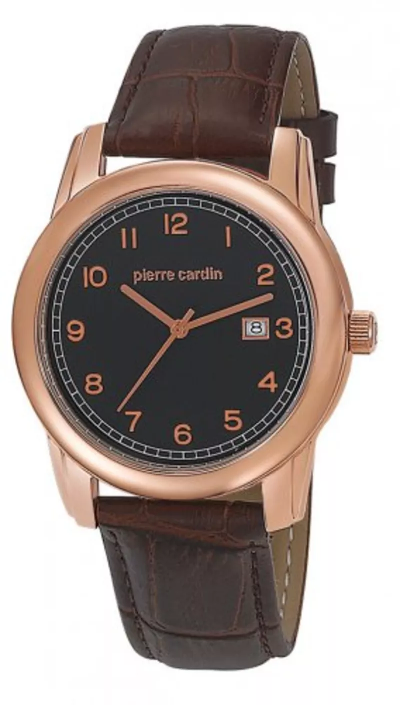 Часы Pierre Cardin PC104751F04
