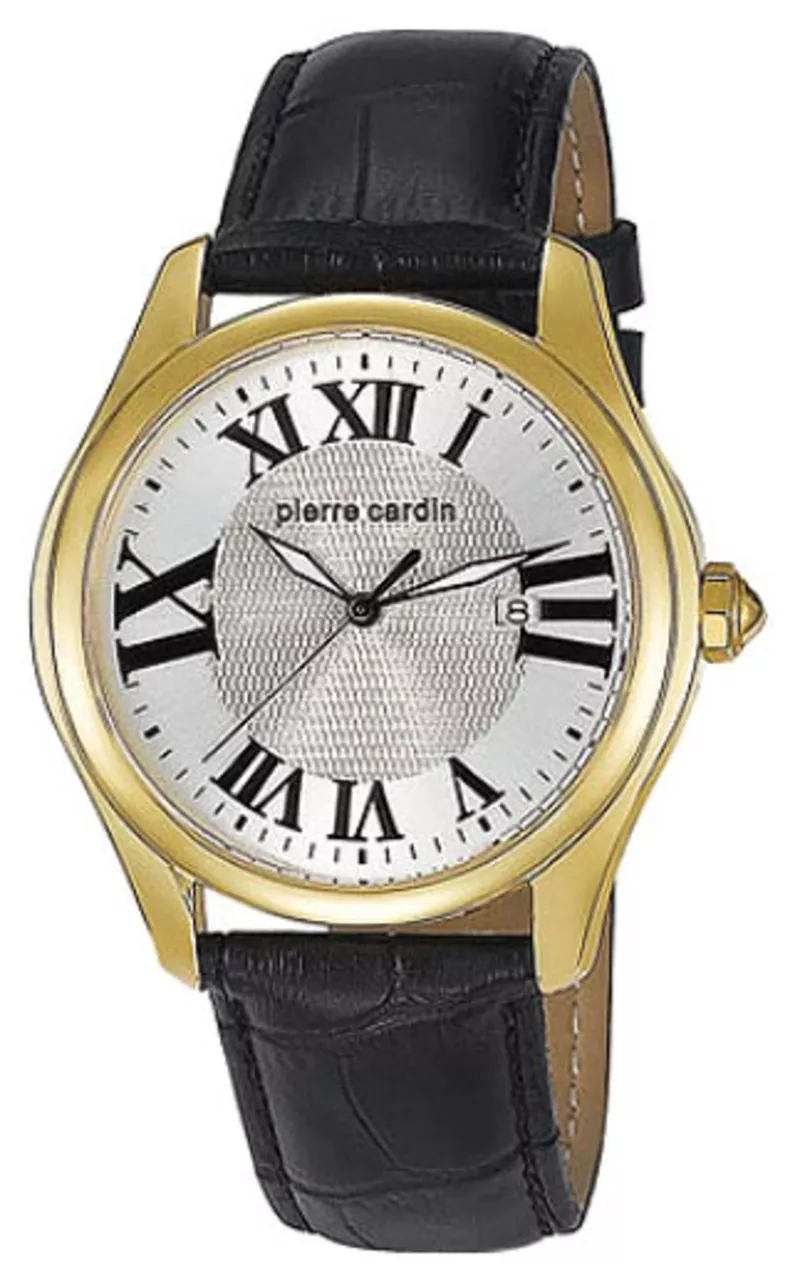 Часы Pierre Cardin PC104571F07