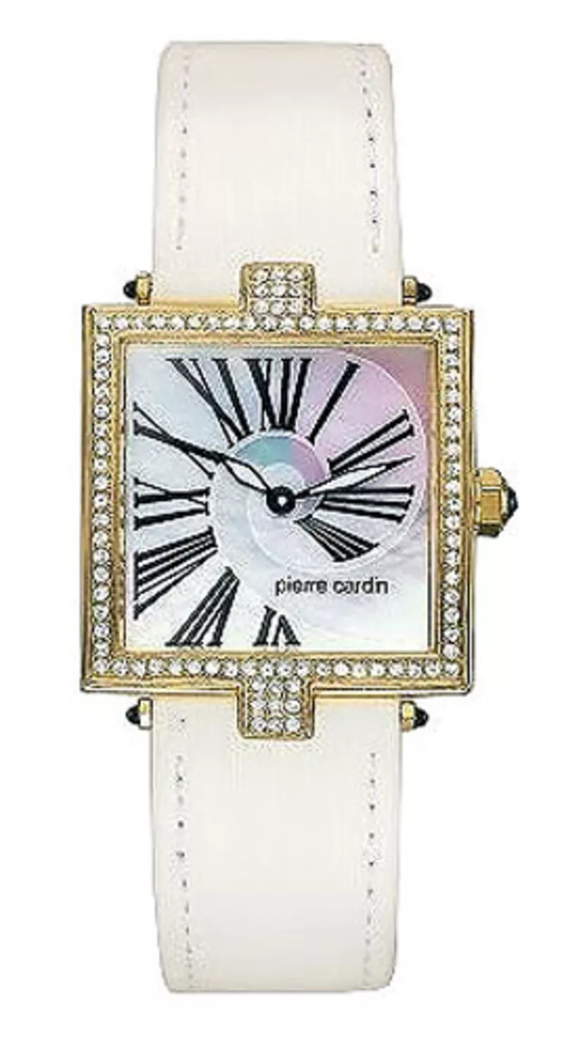 Часы Pierre Cardin PC67832.115021