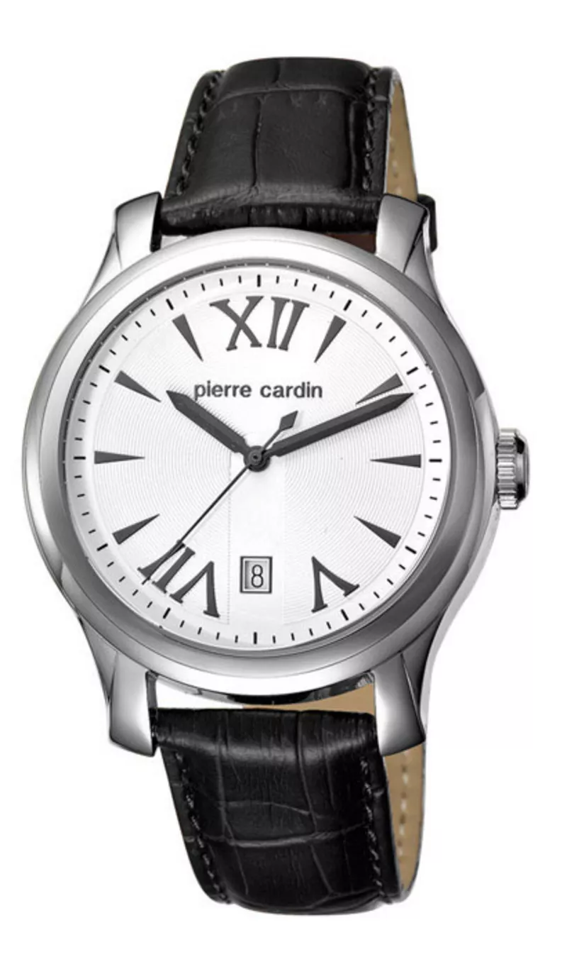 Часы Pierre Cardin PC104121F01