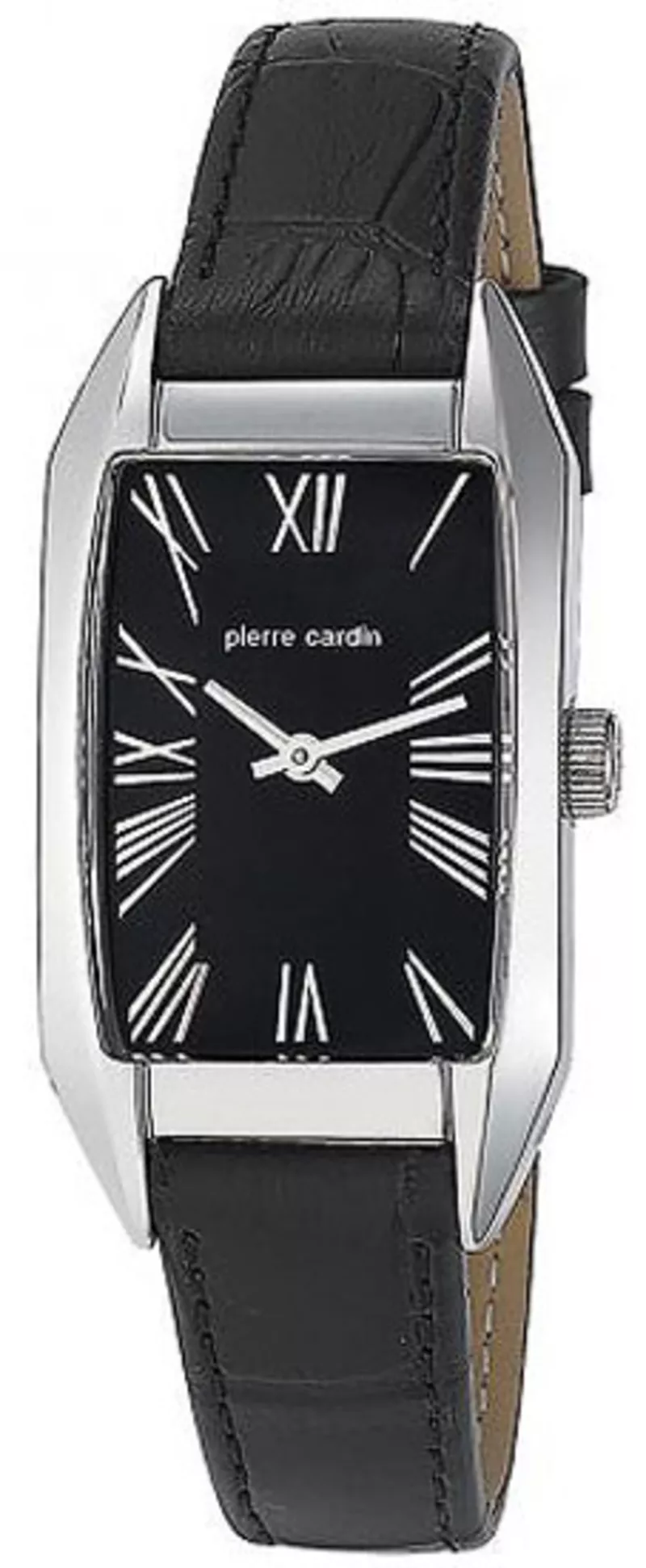 Часы Pierre Cardin PC104652F04