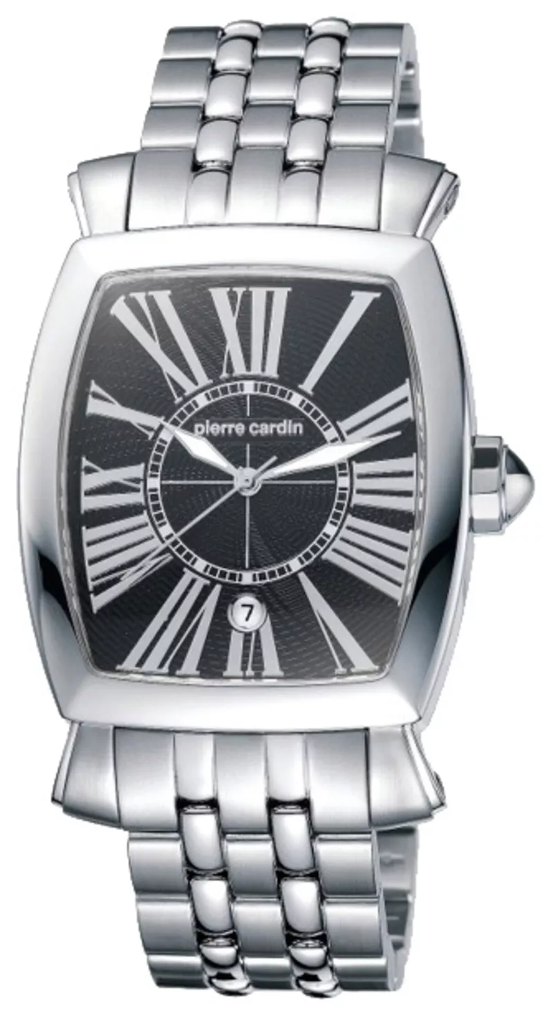 Часы Pierre Cardin PC100251F01