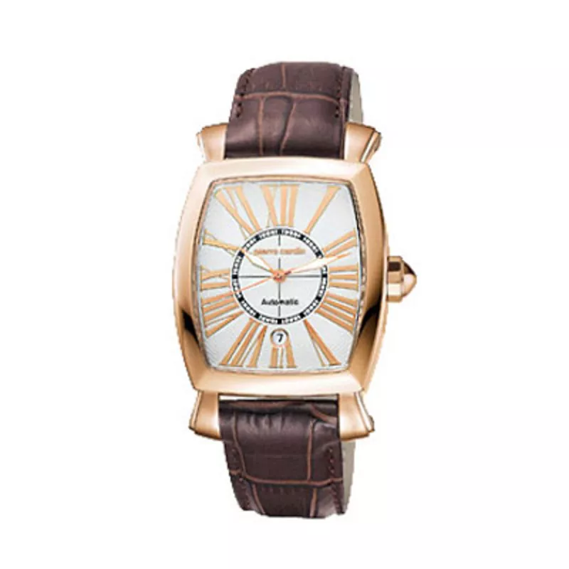 Часы Pierre Cardin PC100281F03