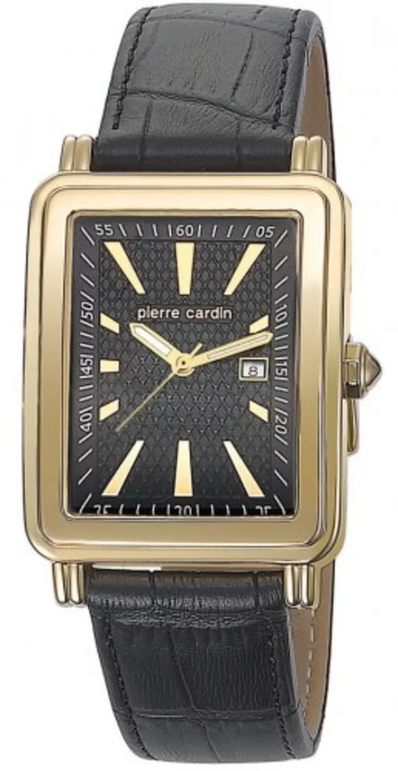 Часы Pierre Cardin PC104831F03