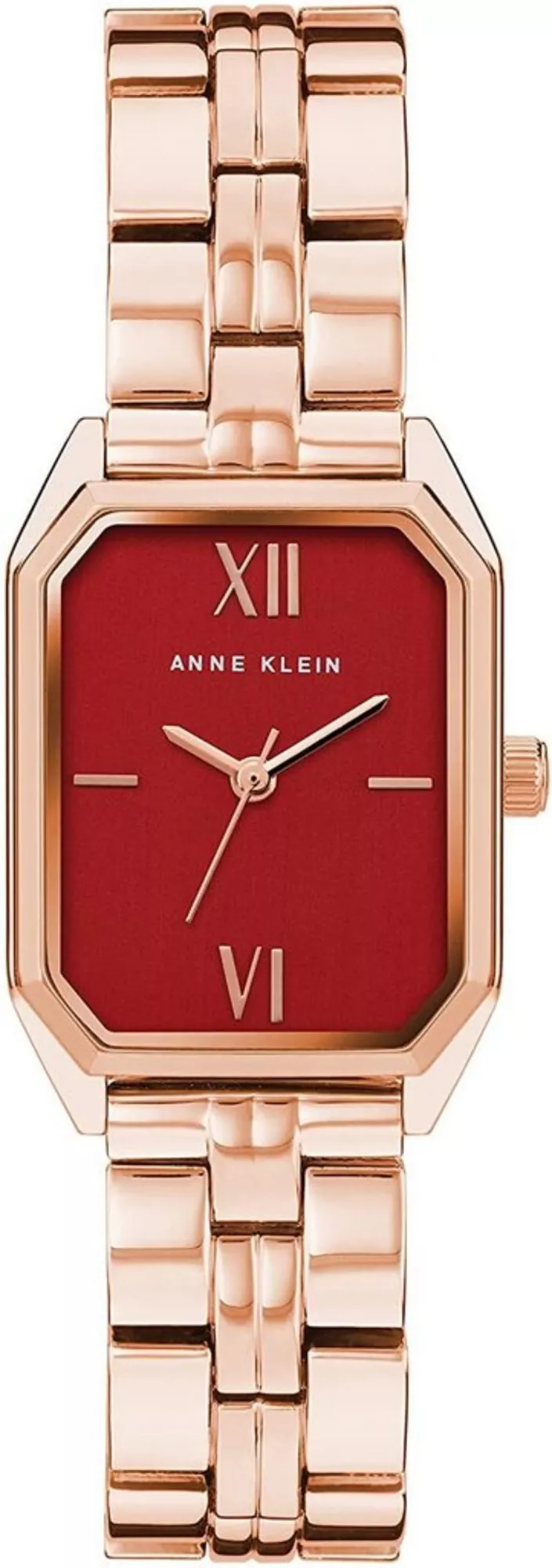 Часы Anne Klein AK3774BYRG