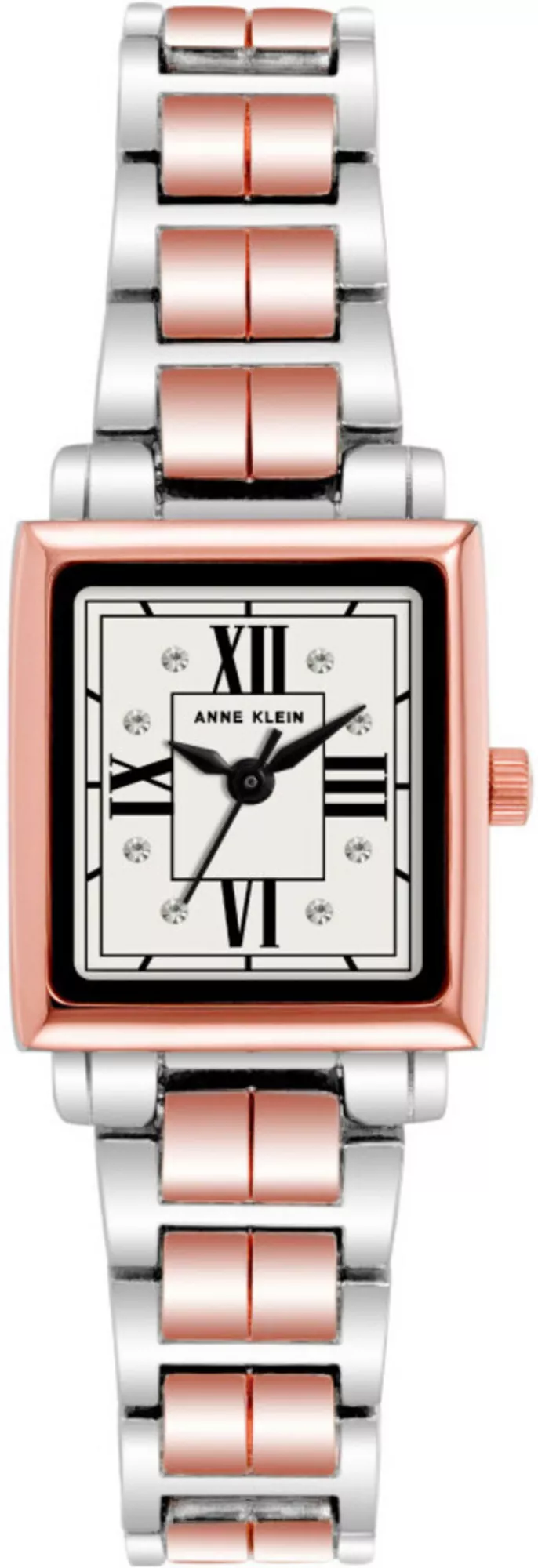 Часы Anne Klein AK4011SVRT