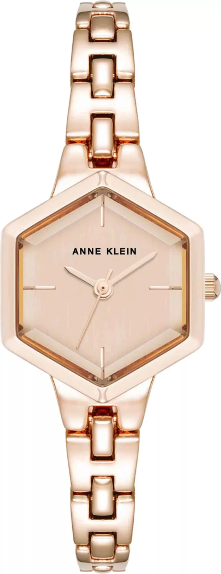 Часы Anne Klein AK5106RGRG