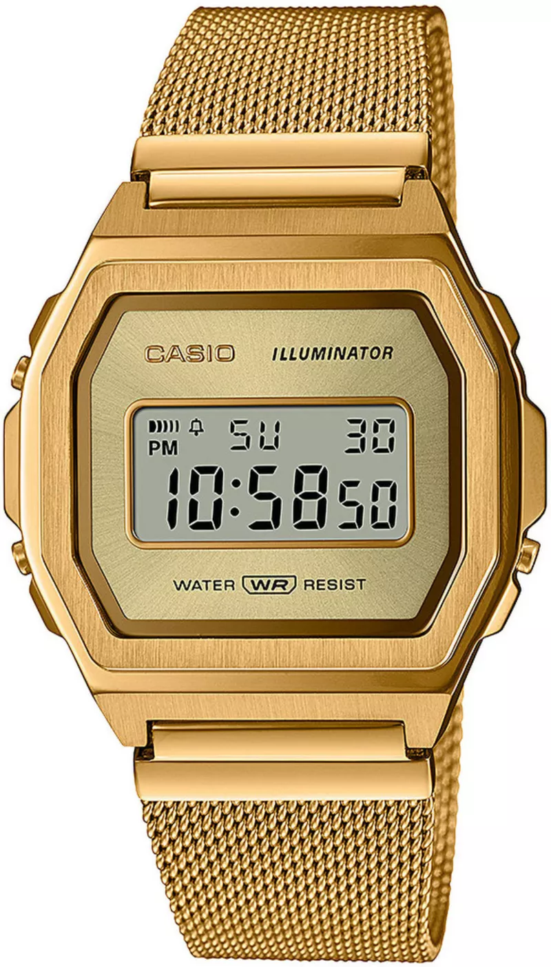 Часы Casio A1000MG-9EF