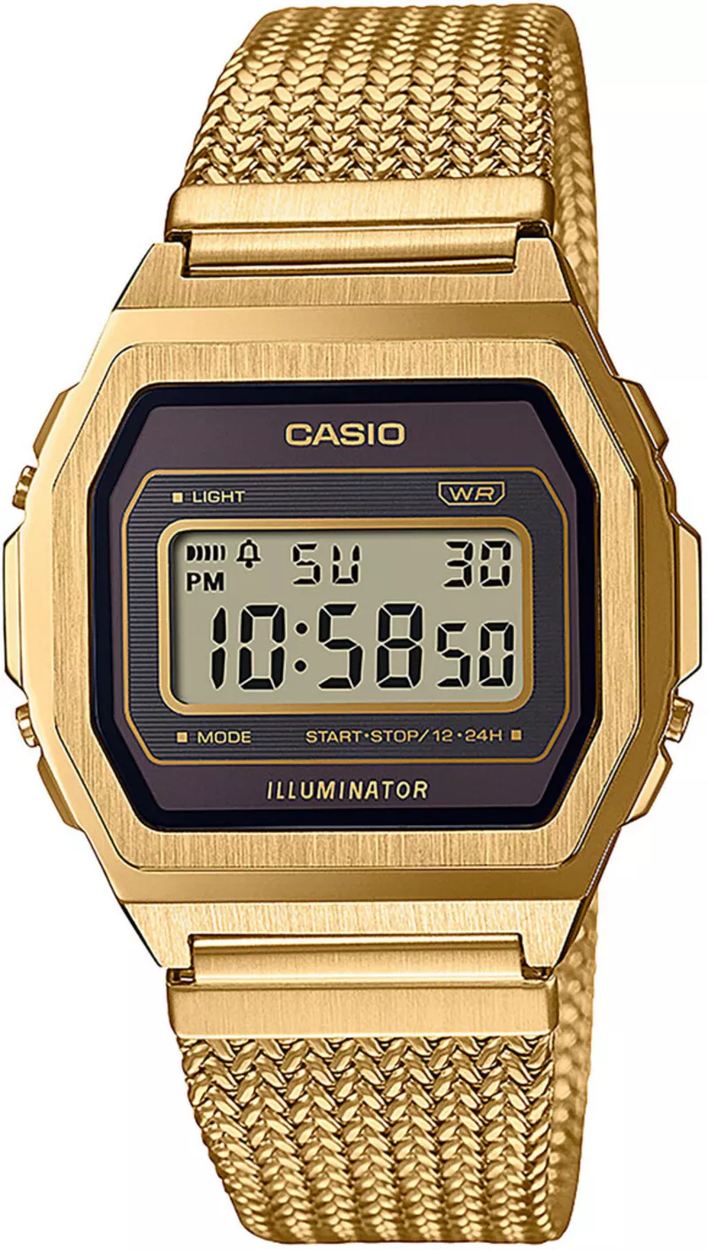 Часы Casio A1000MGA-5EF