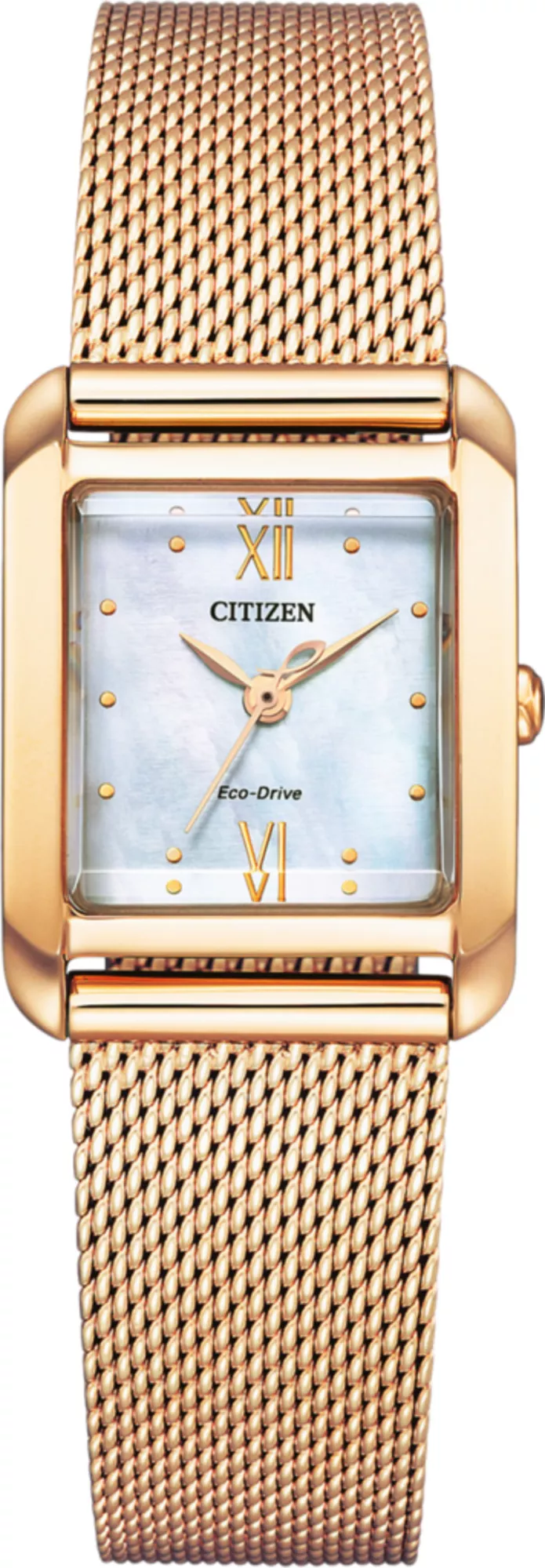 Часы Citizen EW5593-64D