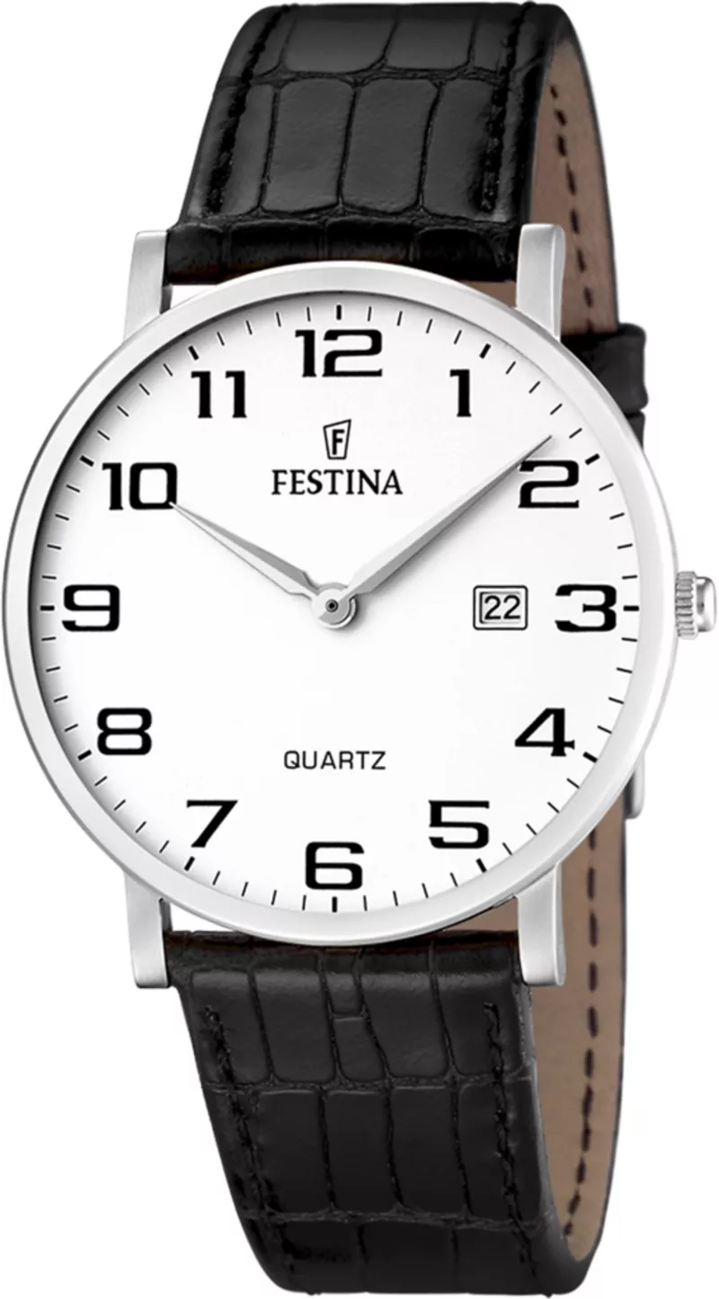 Часы Festina F164761