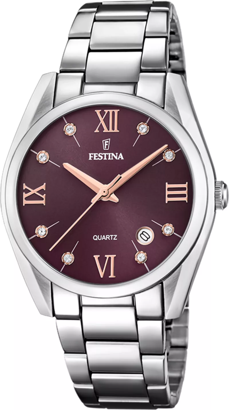 Часы Festina F16790E