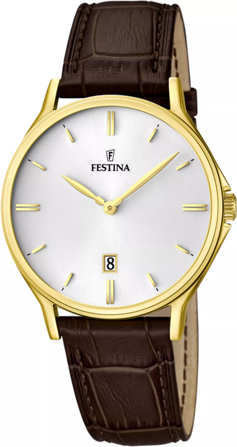 Часы Festina F167471
