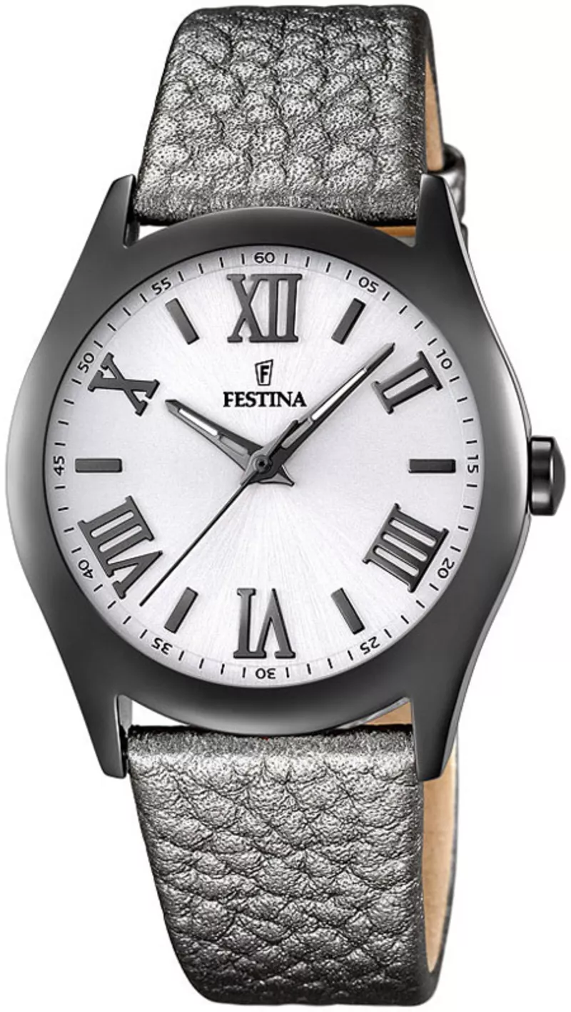 Часы Festina F16649/8
