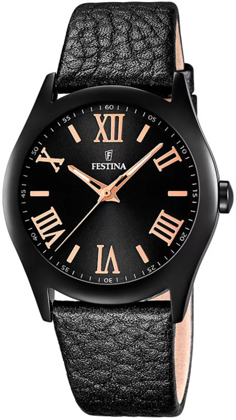 Часы Festina F16649/9
