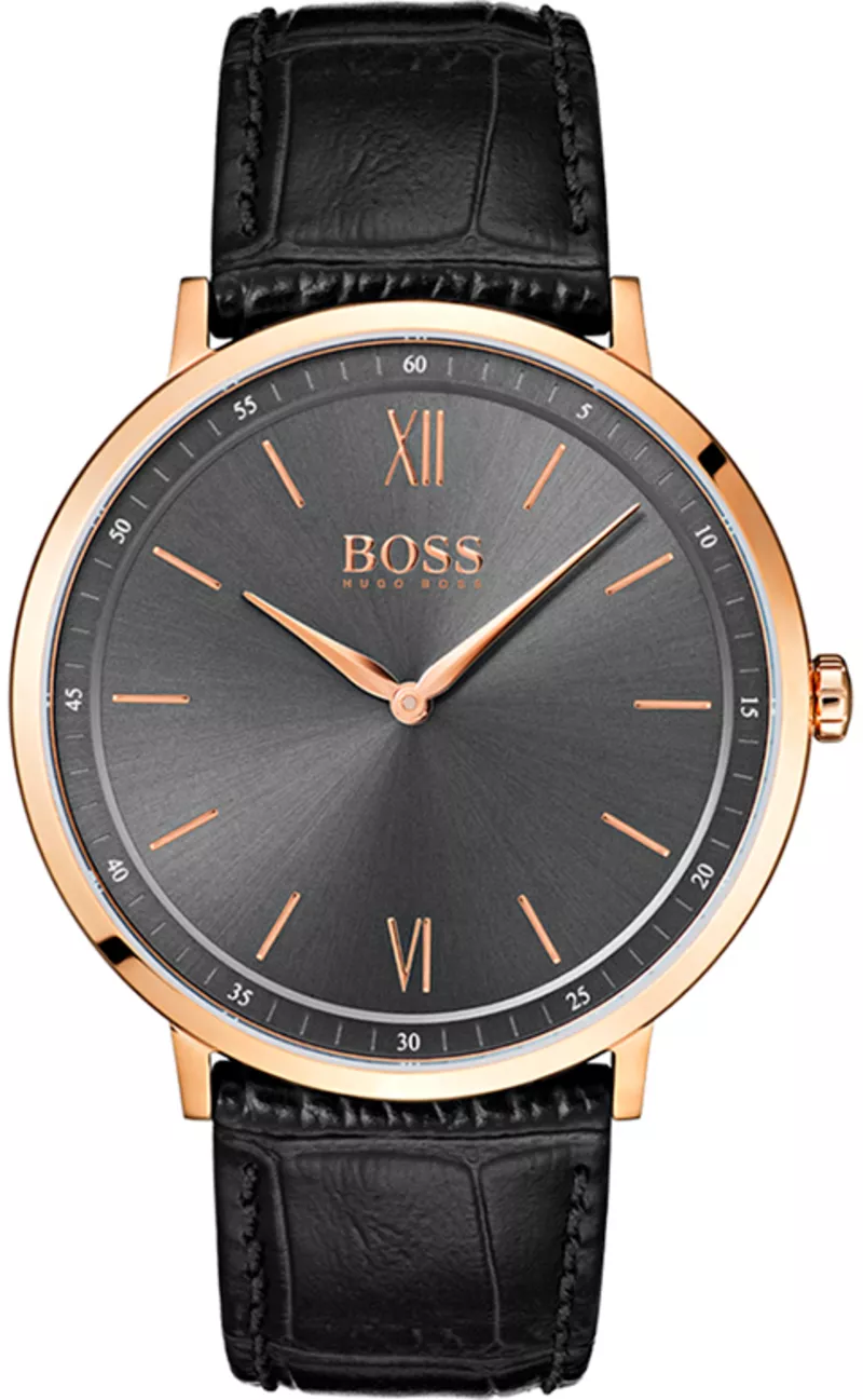 Часы Hugo Boss 1513649