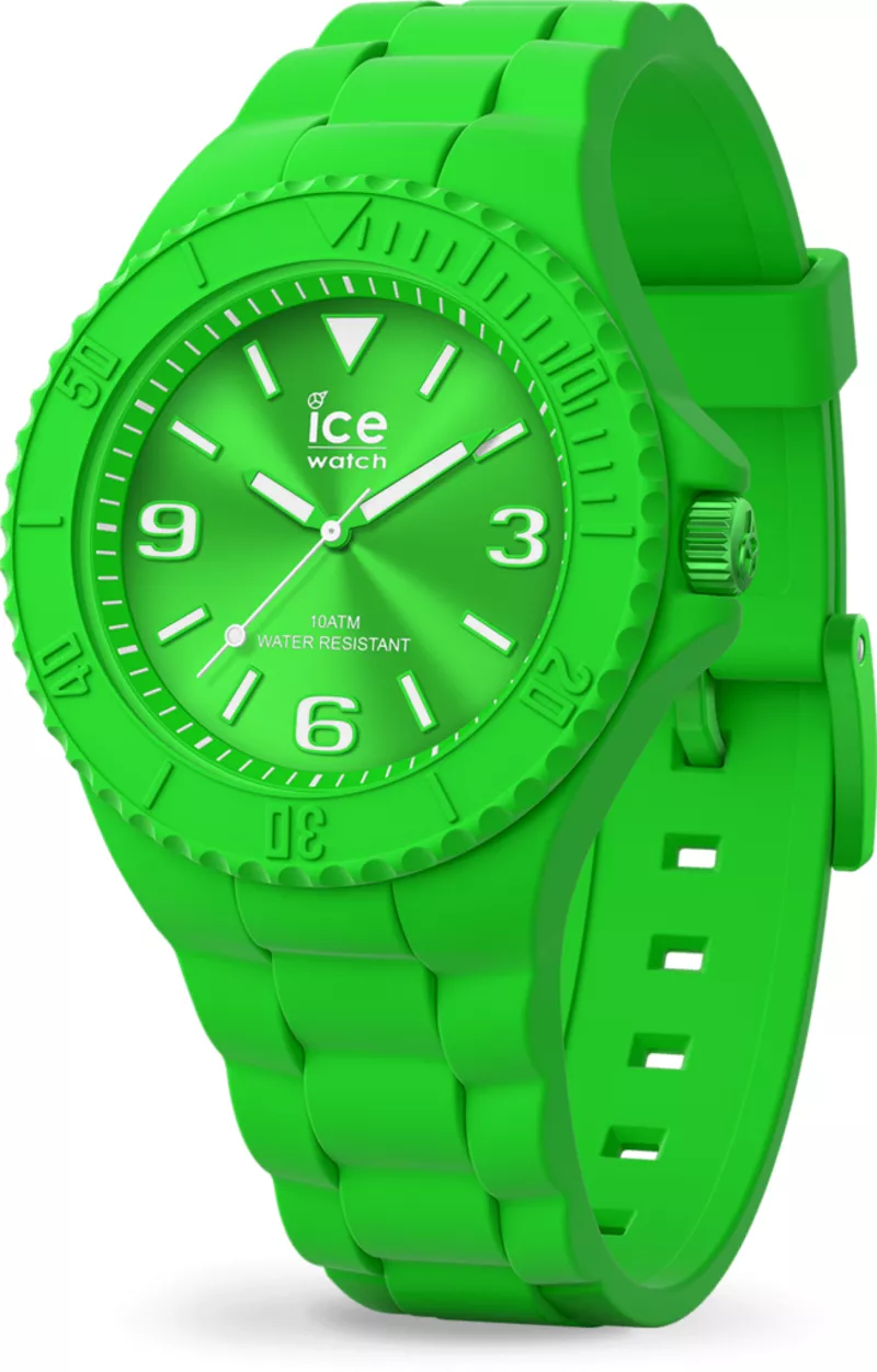 Часы Ice-Watch 019160