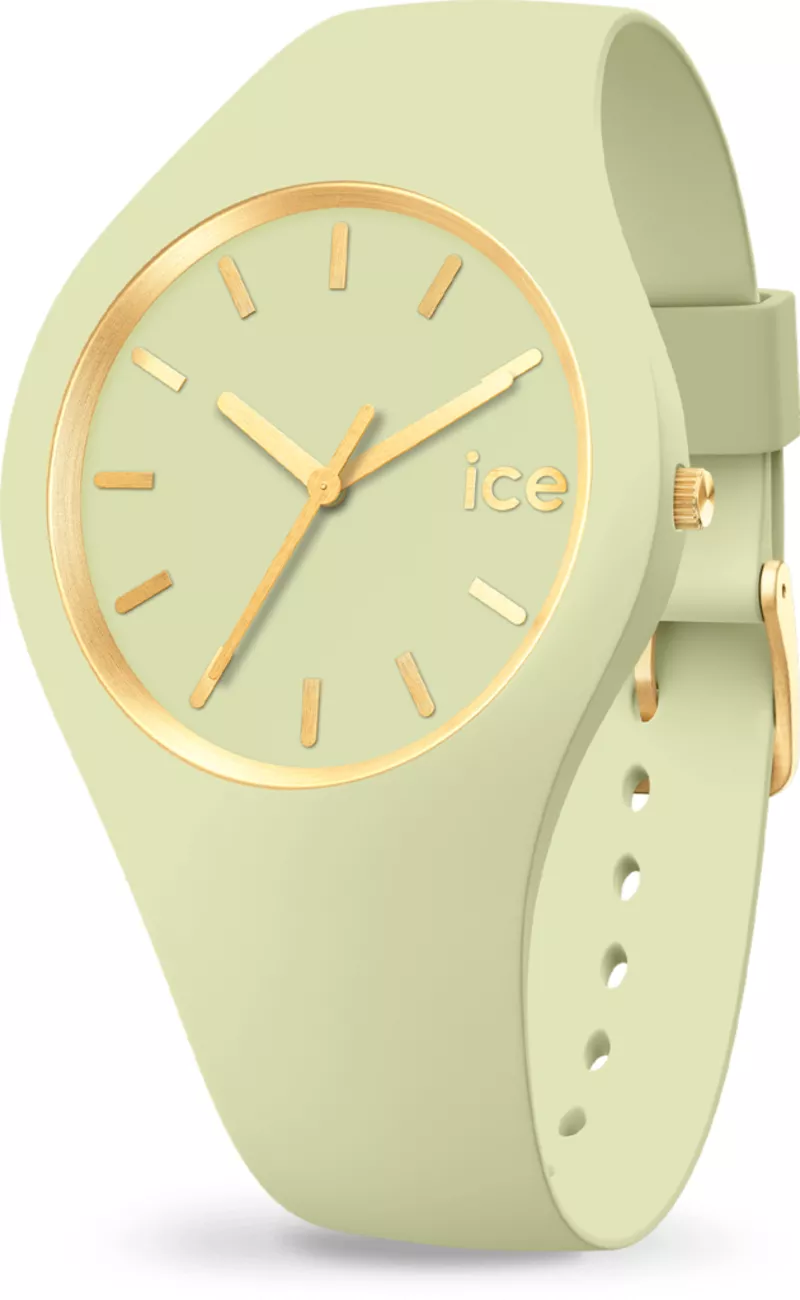Часы Ice-Watch 020542