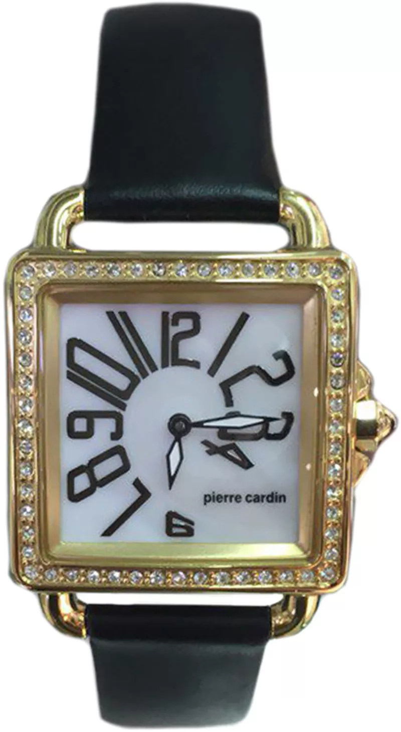 Часы Pierre Cardin PC068862023