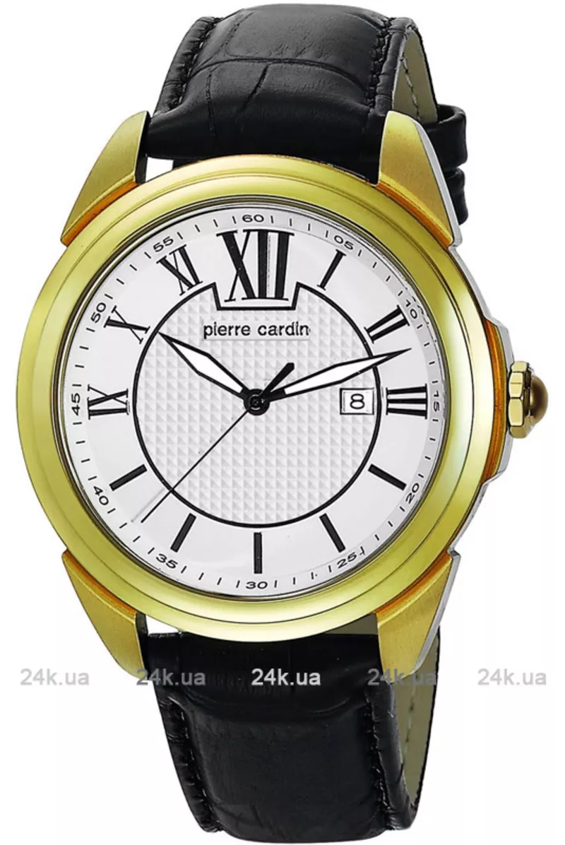 Часы Pierre Cardin PC104891F06