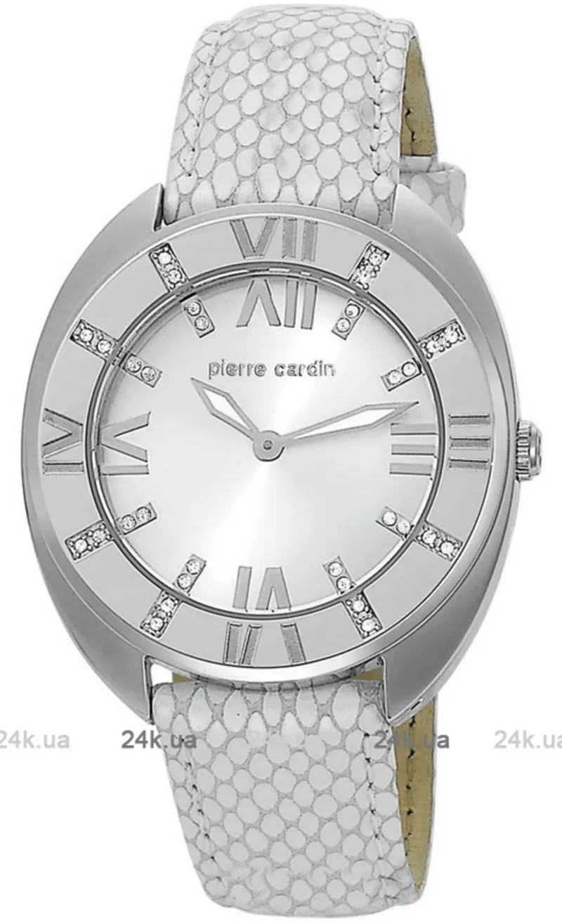 Часы Pierre Cardin PC105272F01