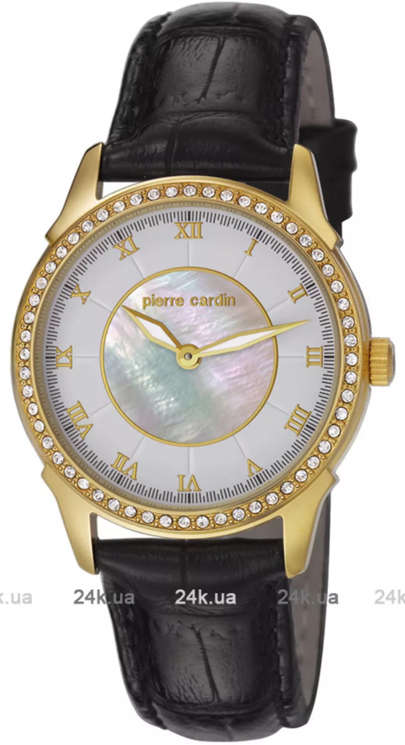 Часы Pierre Cardin PC106062F06