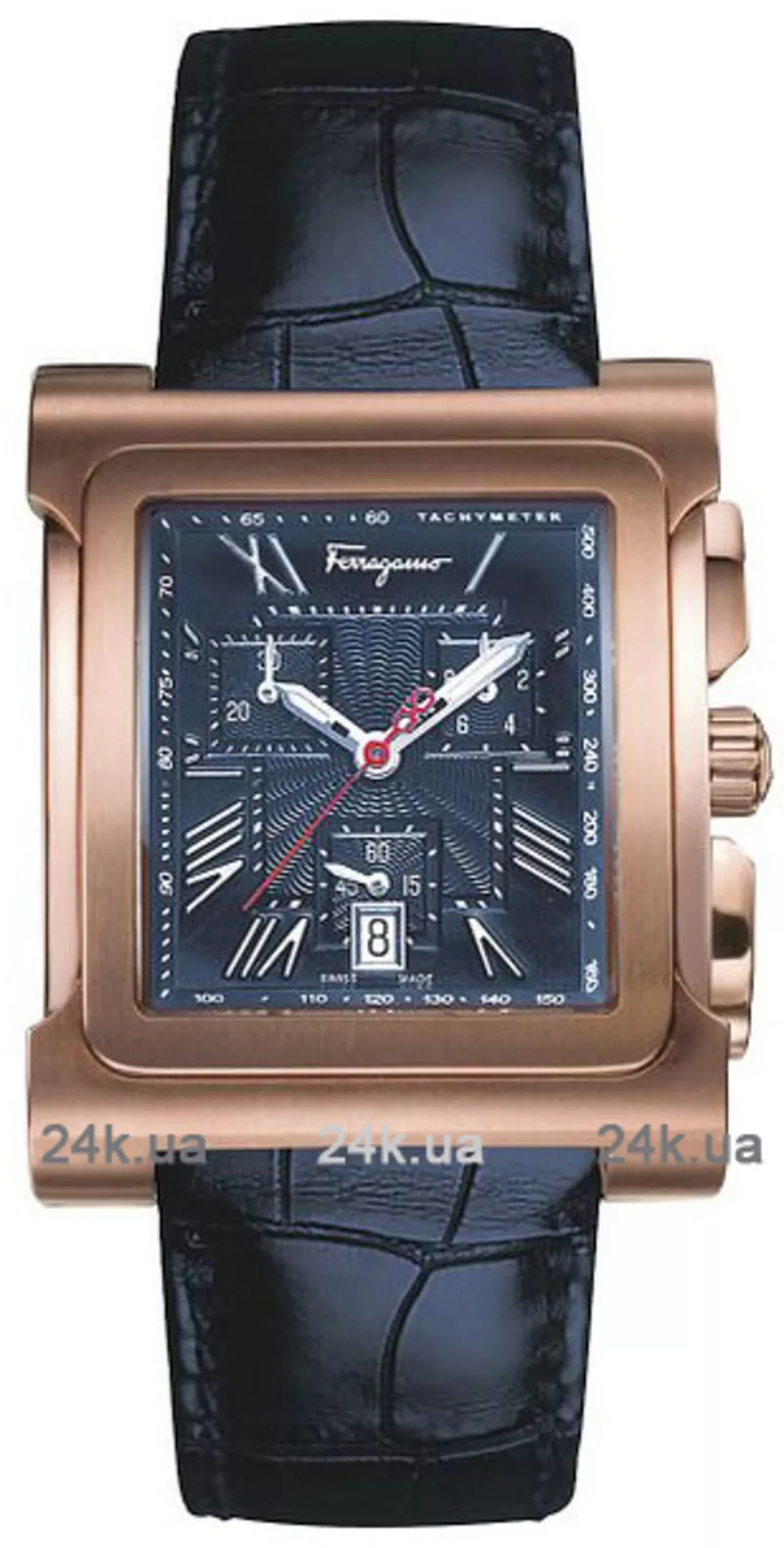 Часы Salvatore Ferragamo Fr58lcq6504 s004