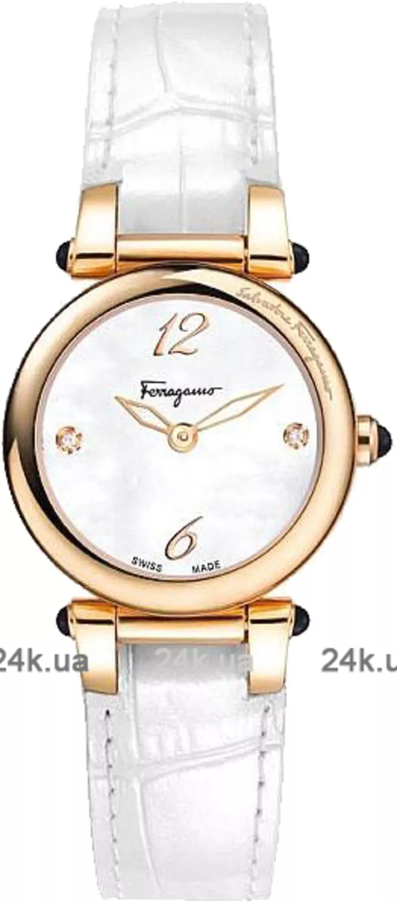 Часы Salvatore Ferragamo Fr79sbq5091isb01