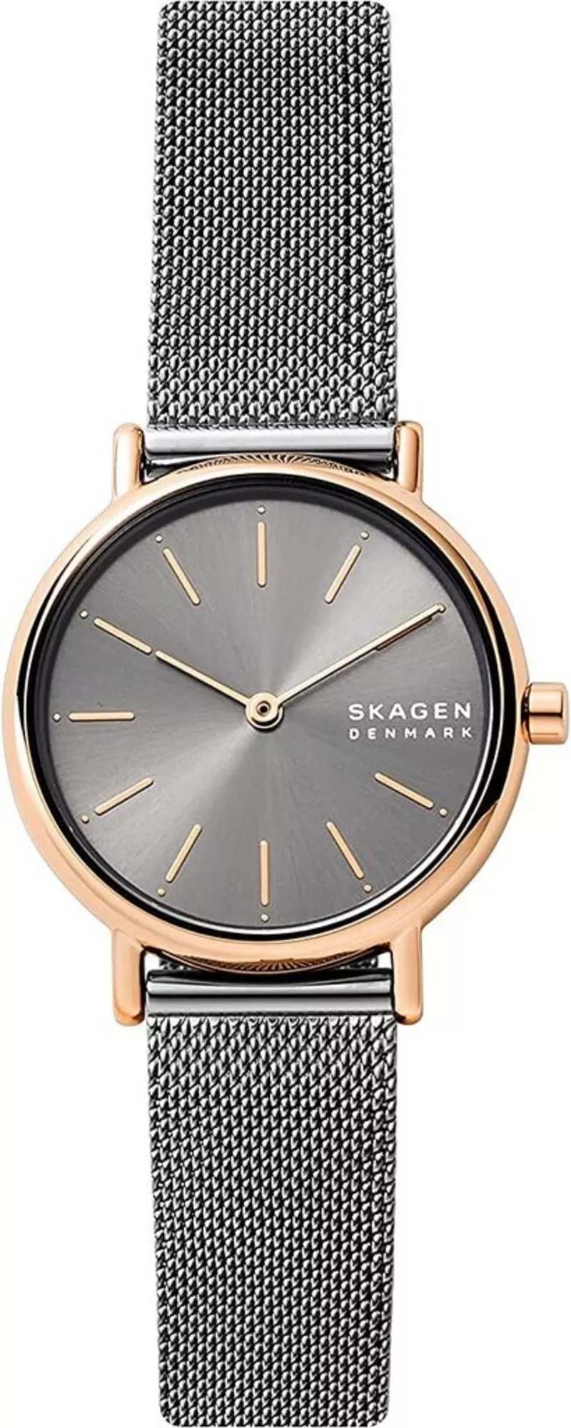 Часы Skagen SKW2996