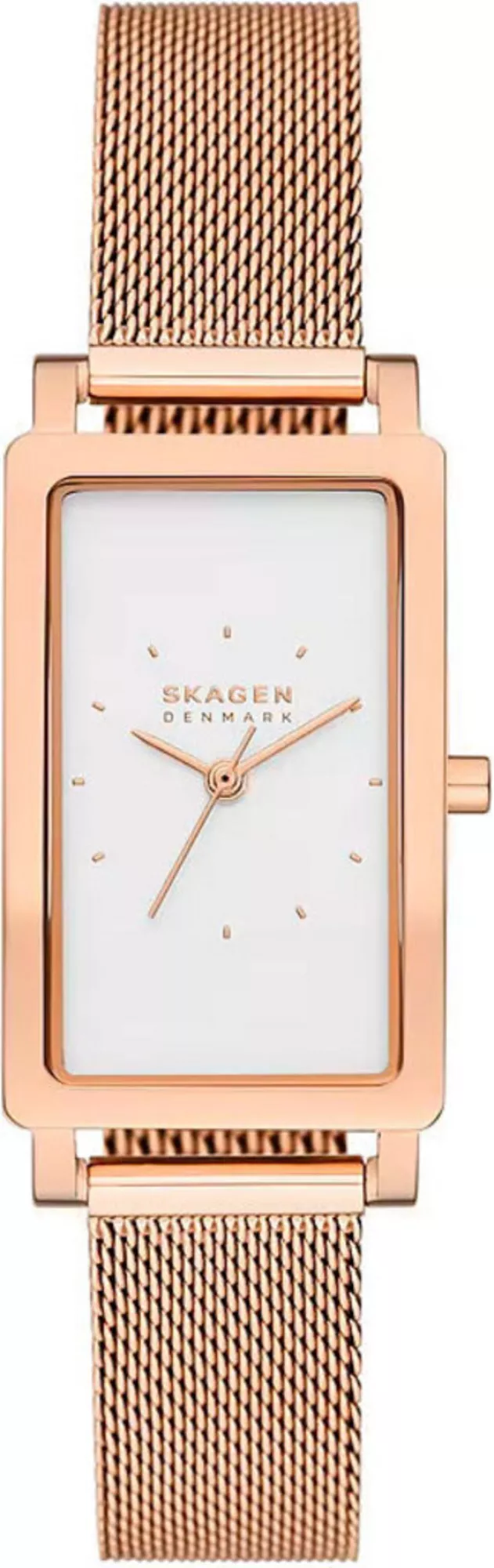 Часы Skagen SKW3095