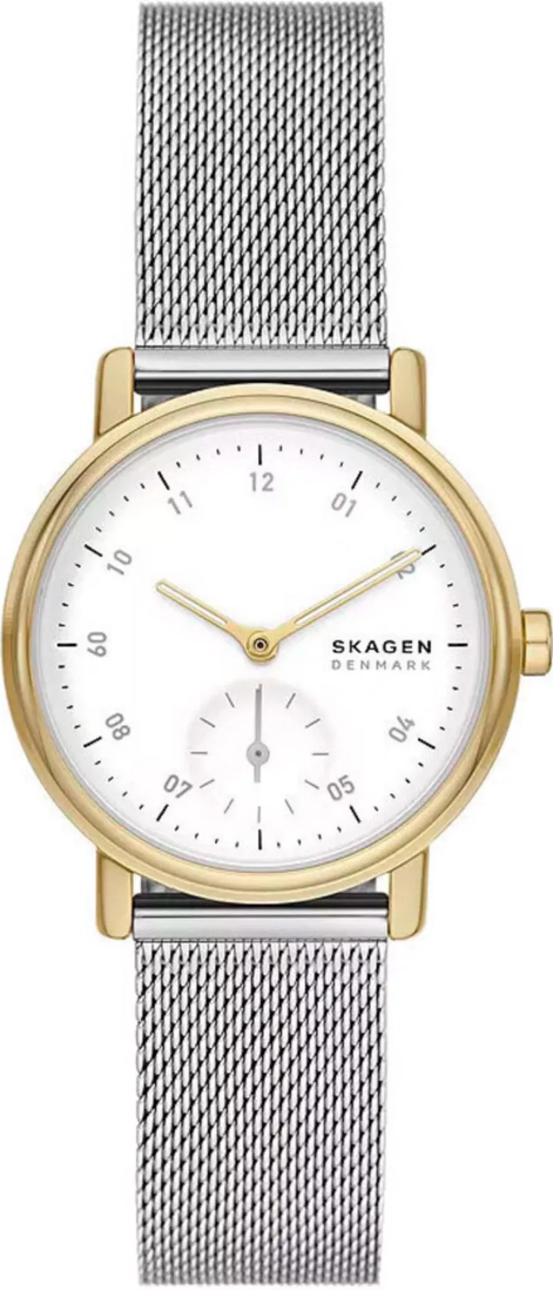 Часы Skagen SKW3101