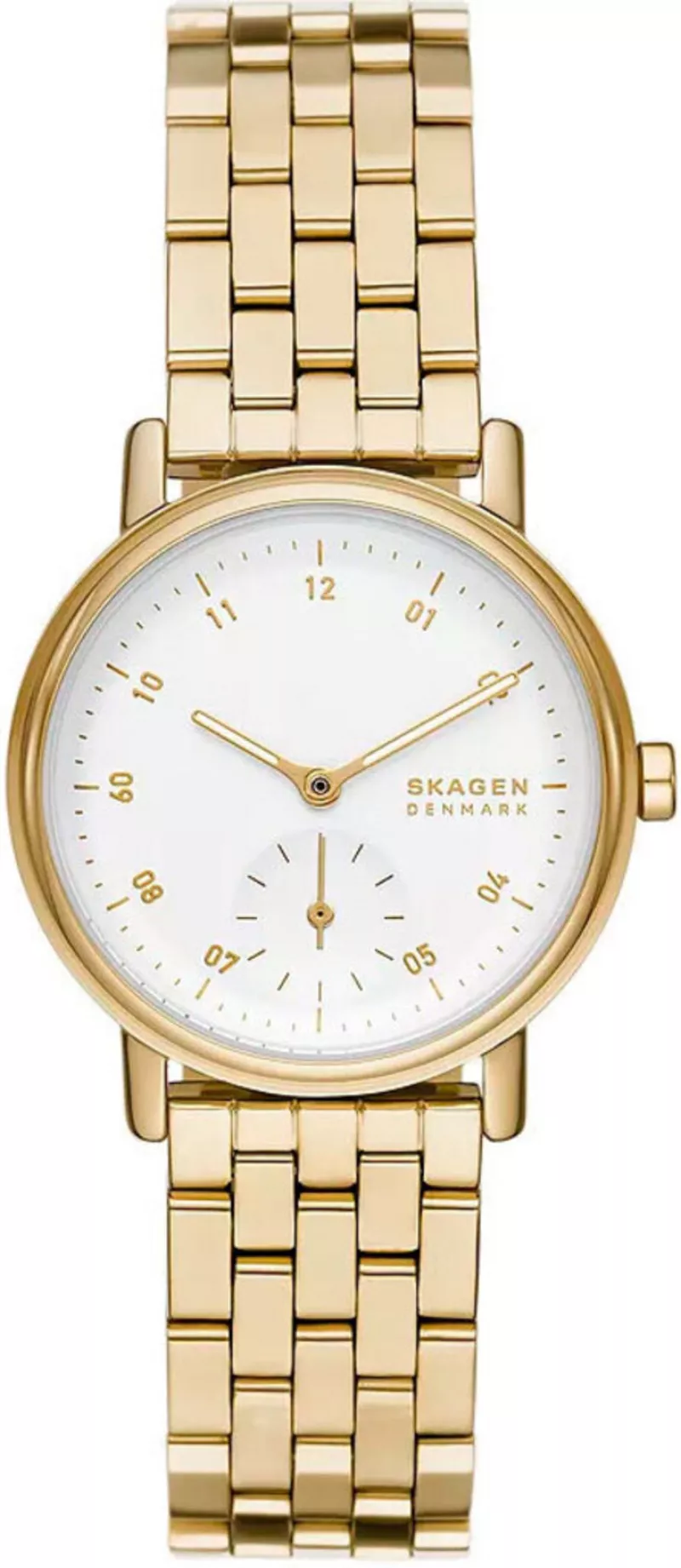 Часы Skagen SKW3102