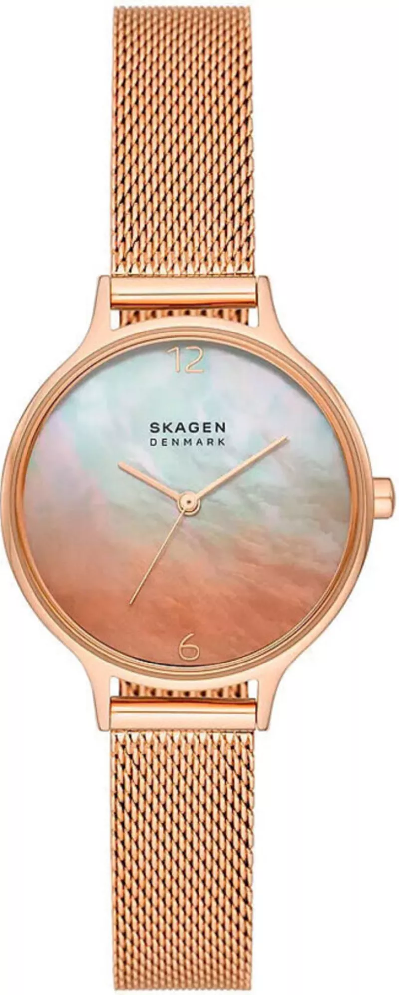 Часы Skagen SKW3107