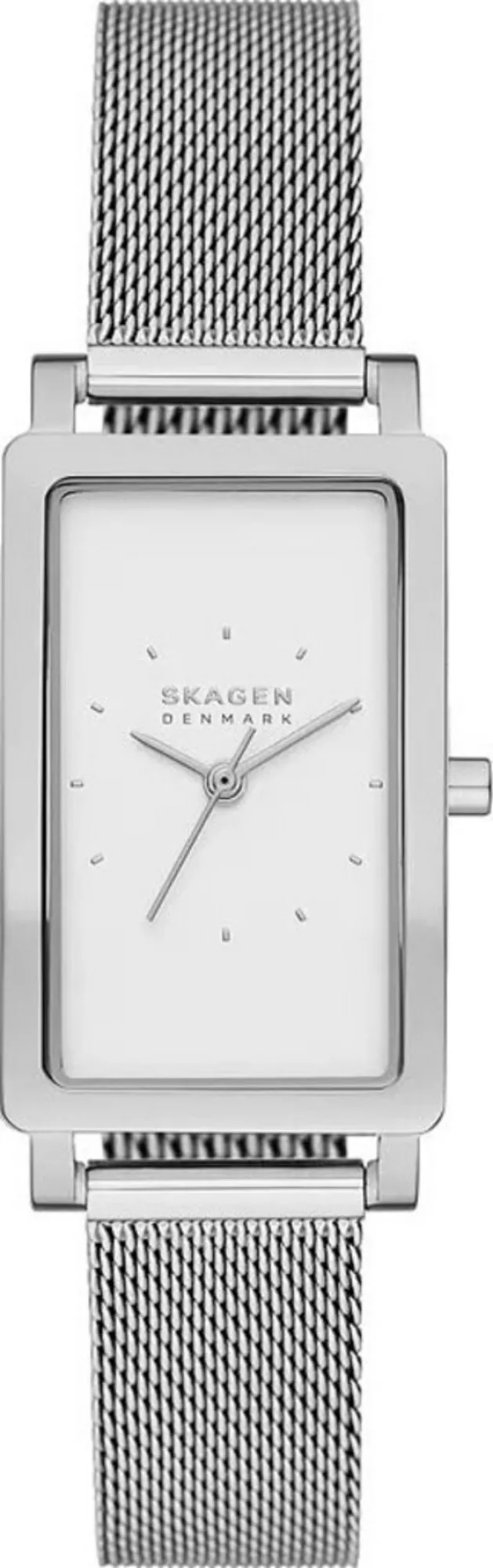 Часы Skagen SKW3096