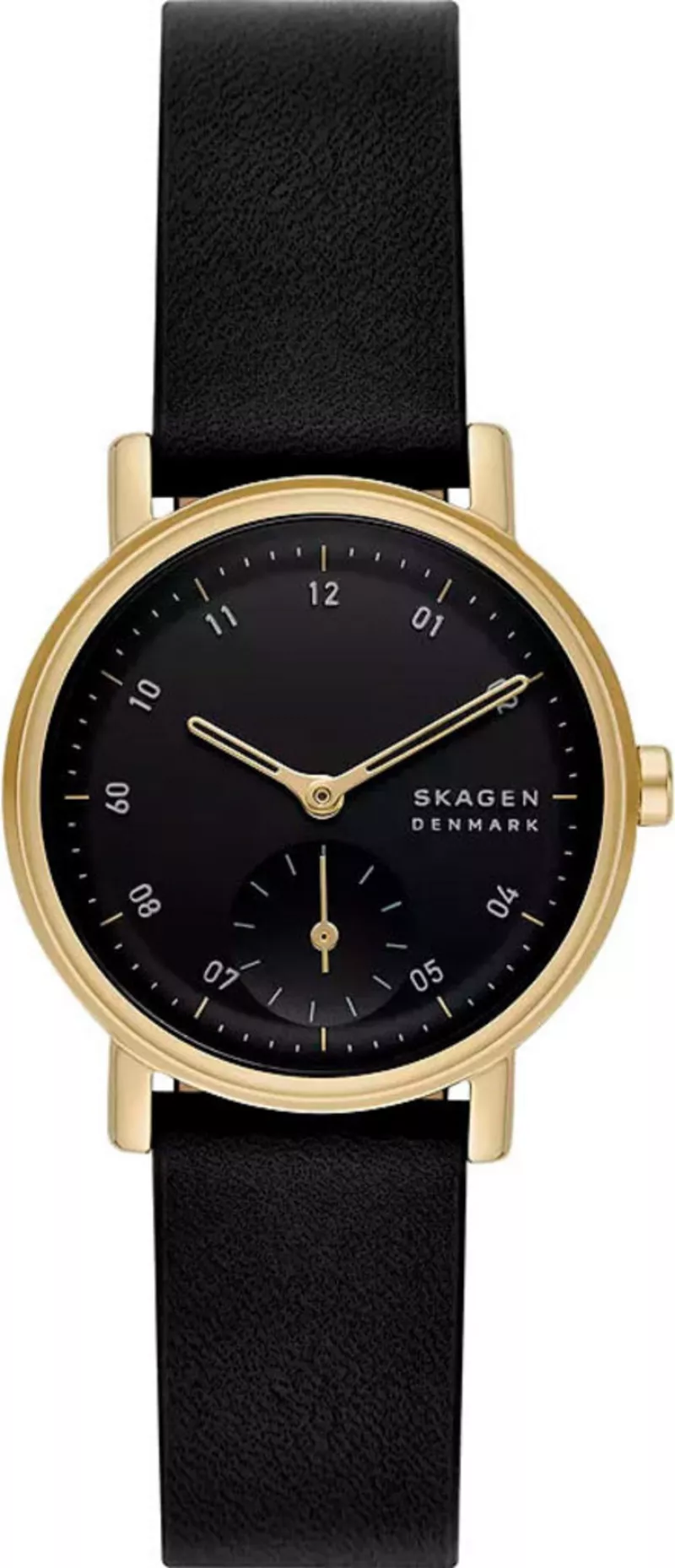 Часы Skagen SKW3114