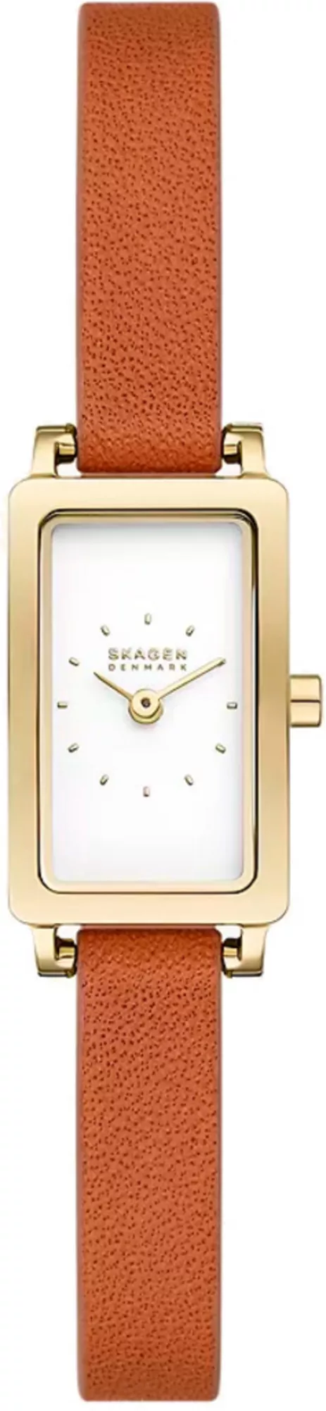 Часы Skagen SKW3149