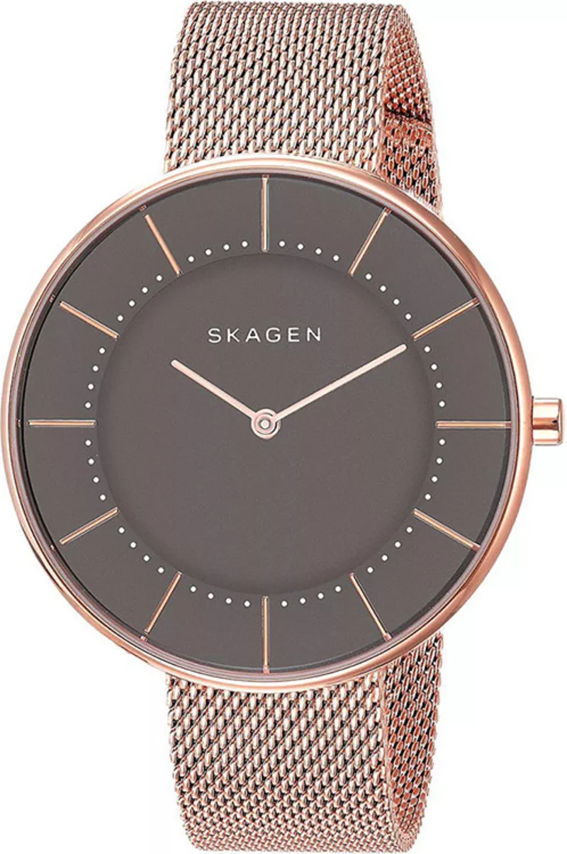 Часы Skagen SKW1089
