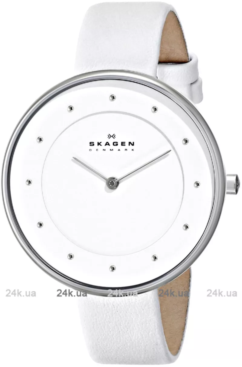 Часы Skagen SKW2136