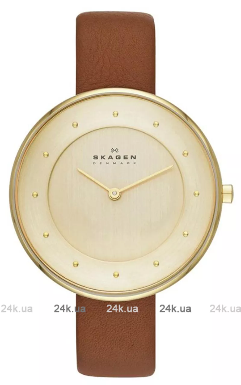 Часы Skagen SKW2138