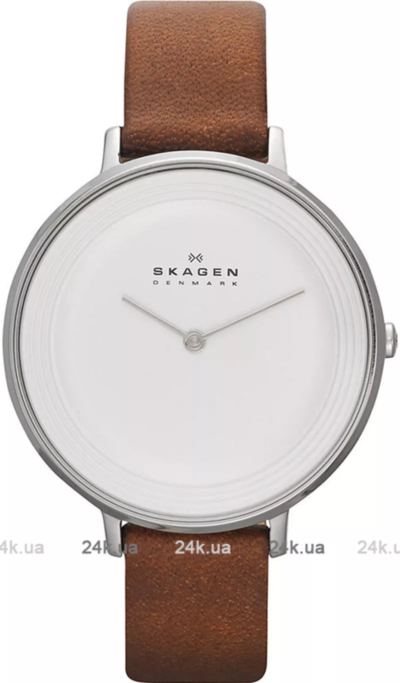 Часы Skagen SKW2214