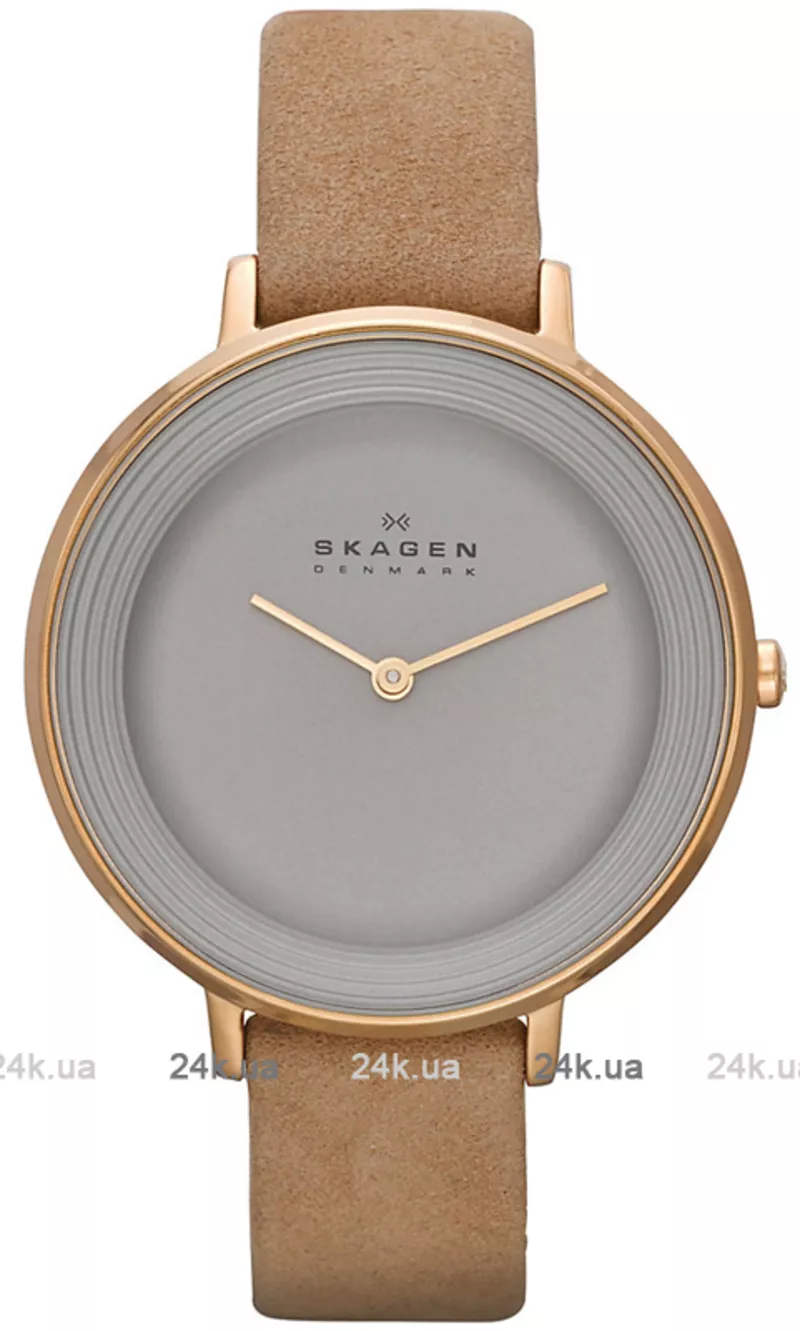 Часы Skagen SKW2215