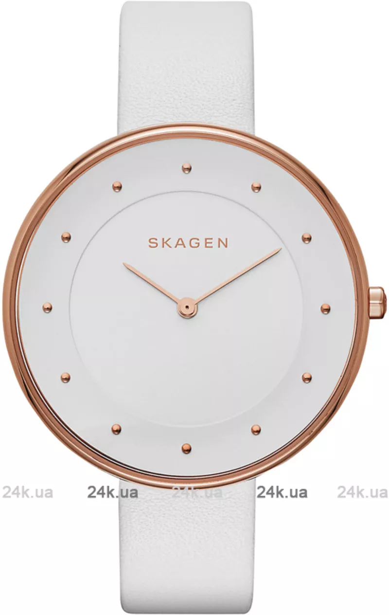 Часы Skagen SKW2291