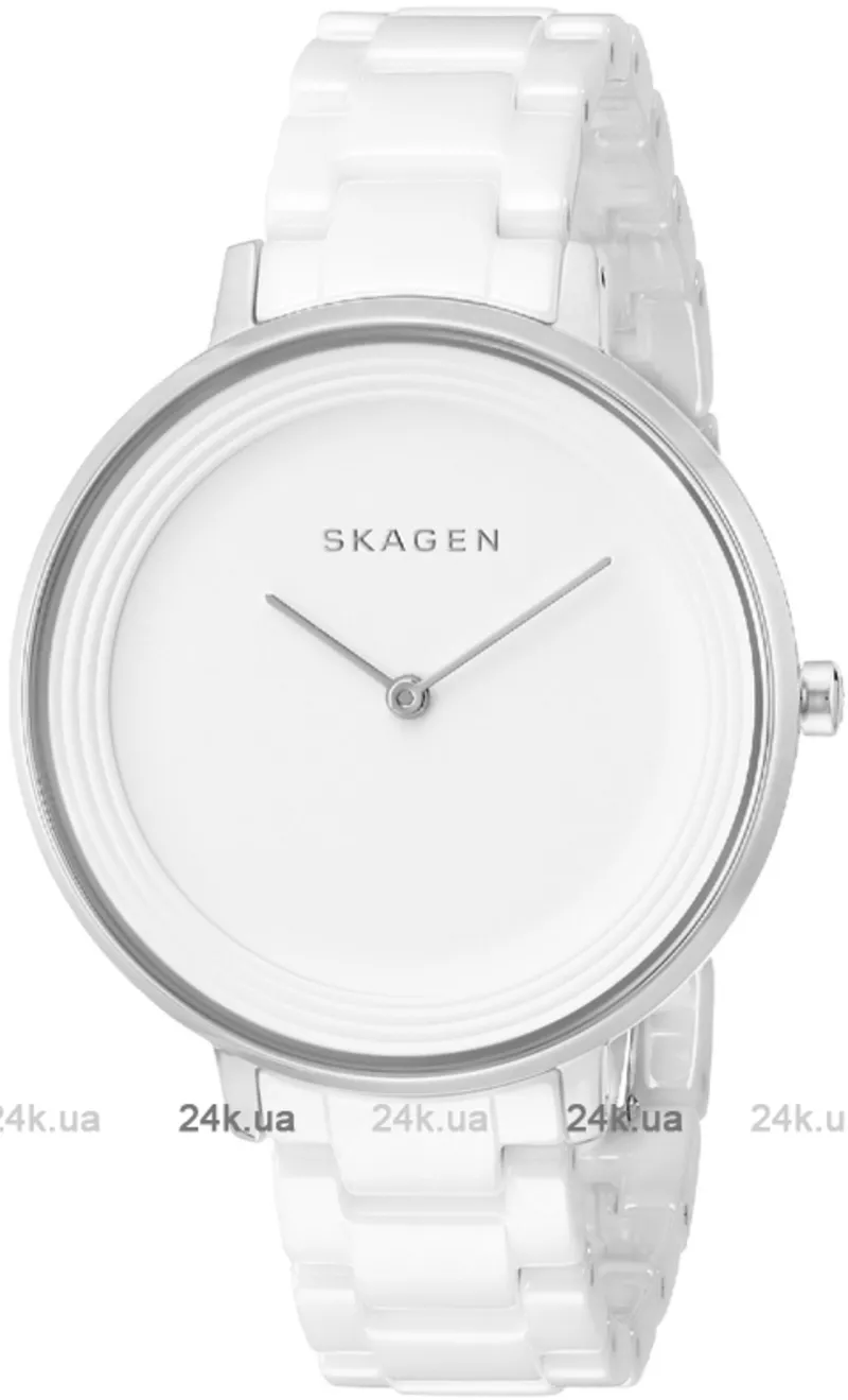 Часы Skagen SKW2300