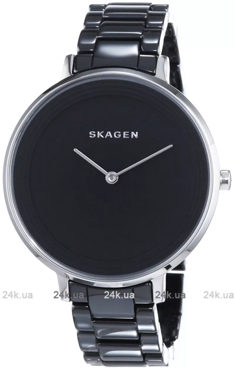 Часы Skagen SKW2303