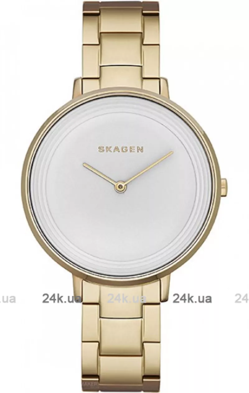 Часы Skagen SKW2330