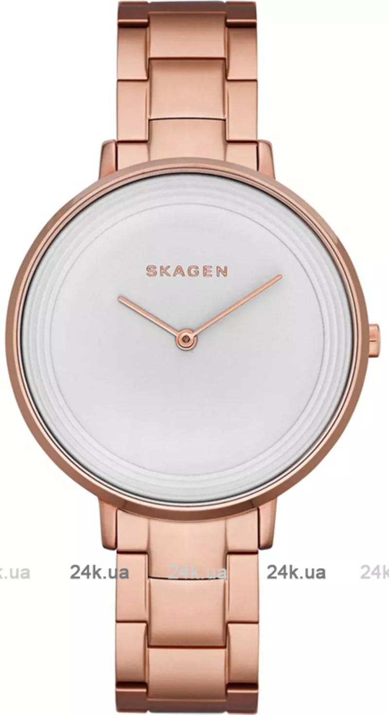 Часы Skagen SKW2331