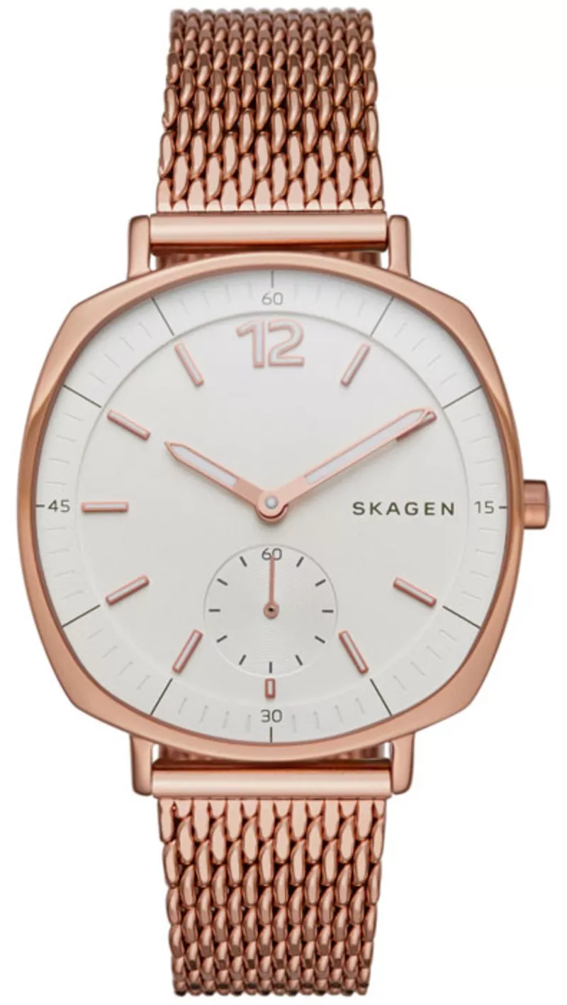 Часы Skagen SKW2401