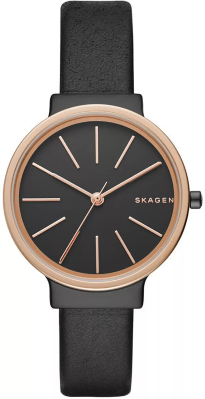 Часы Skagen SKW2480